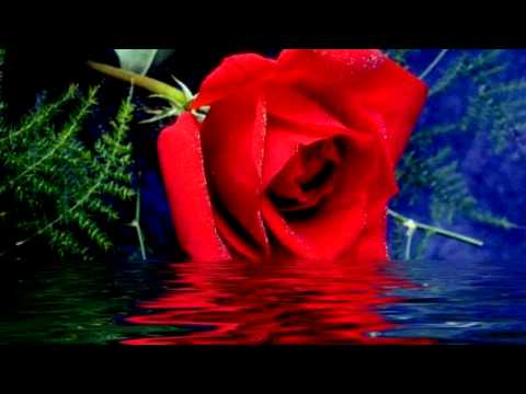 \"გძულვარ თუ ოდნავ გიყვარვარ\"