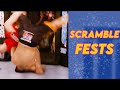 Grappling brawls in mma so many scrambles