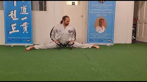 Taekwon-Do training Garth kidd IV degree.