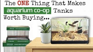 Unboxing & Reviewing Aquarium Coop's New Line Of Rimless, Rounded Glass, Low Iron Nano Tanks.