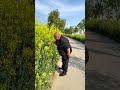The air is full of the scent of flowers. #funny #laugher #comedy