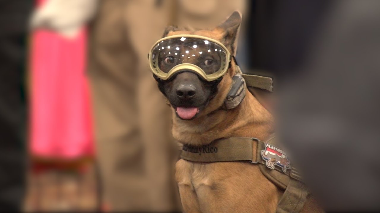 2018 Police K9 Conference & Vendor Show YouTube