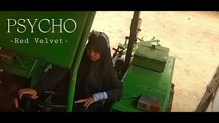 RED VELVET 레드벨벳 'Psycho' MV un || parodi