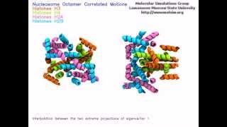 Interpolated Movement of the Nucleosome Octamer