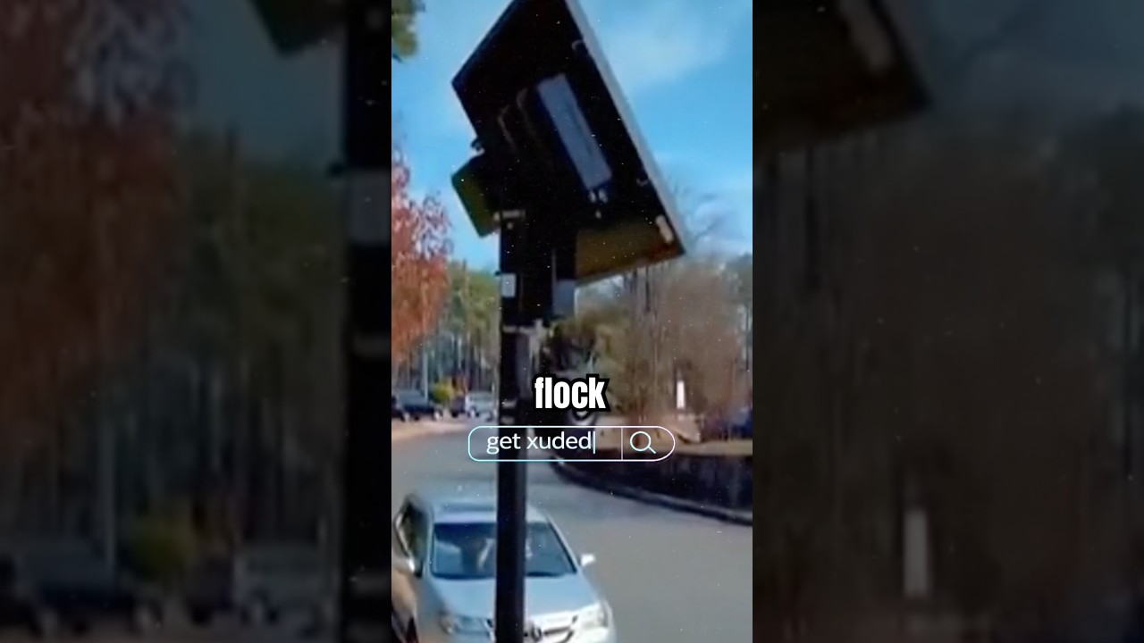 Have you heard about Flock Cameras?
