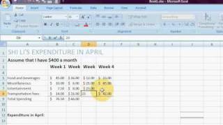 Microsoft Excel It-Expenditure