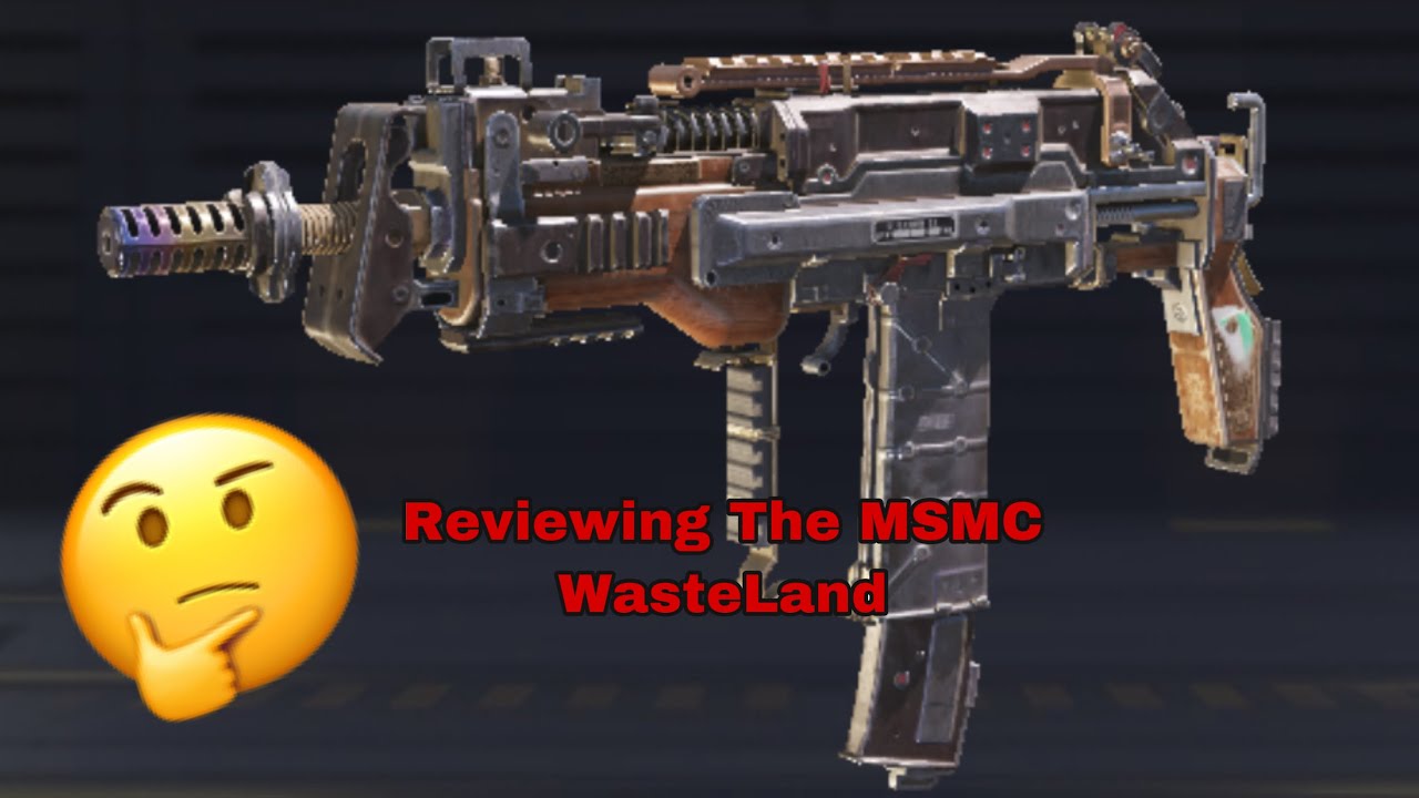 Reviewing The MSMC WasteLand