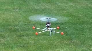 Blade 450 3D Noobie Hover