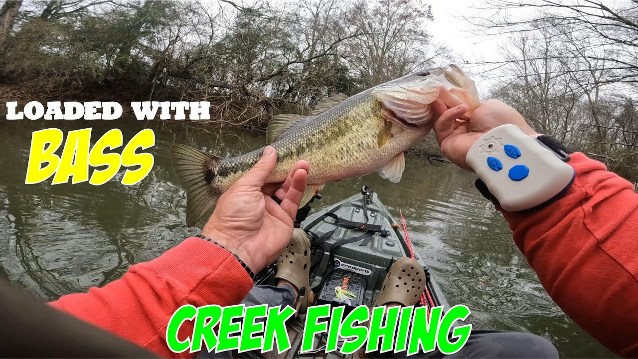 Catching Big Bass On A Small Creek Warm Winter Weather Hot Bite