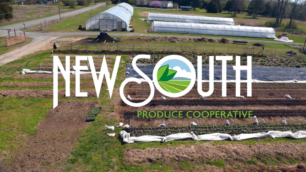 New South Produce Cooperative YouTube