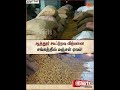 ஆத்தூர் கூட்டுறவு விற்பனை சங்கத்தில் மஞ்சள் ஏலம் | Turmeric Auction Cooperative Marketing Society