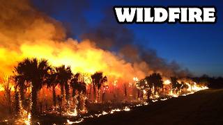 How Wildfires Spread and Burn
