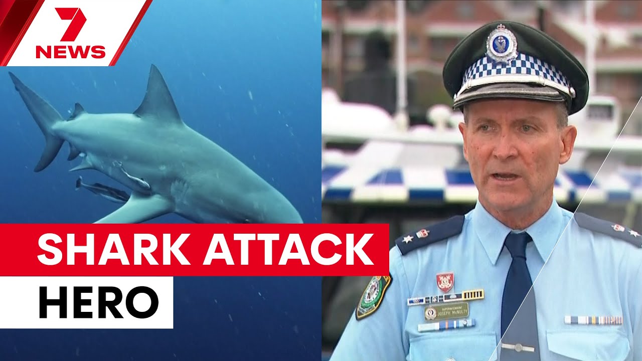 'That's mateship': Teen jumps into water to save friend from shark attack in Sydney Harbour | 7NEWS