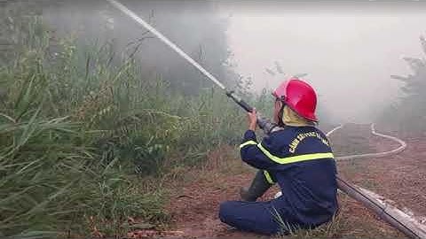 200 người đang ra sức khống chế đám cháy rừng lớn ở Cà Mau