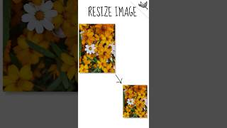 Resize Images in GIMP #gimp #shorts