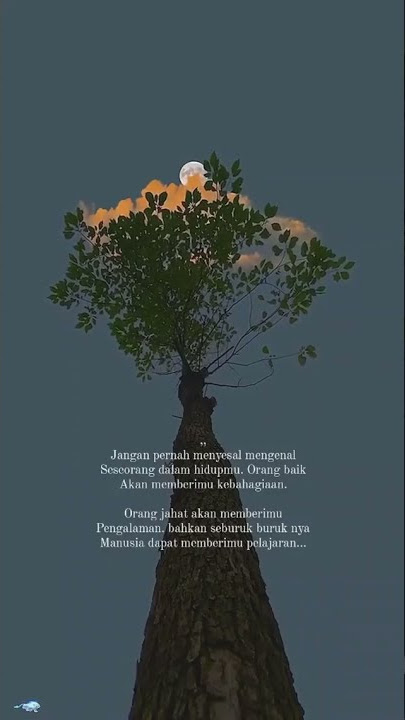 kata2 story wa, ikhlas:')