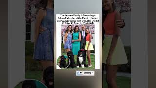Obama Family Mourns Former First Dog Sunny 🐶💔 #shorts #obamafamily #viral #foryou