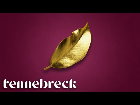 Tennebreck feat. D.E.P. - Loneliness | Visualizer