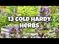 13 Cold Tolerant  Herbs You Should  Grow