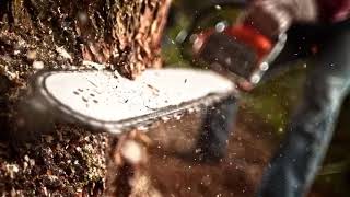 Professional Tree Care Tips • Edmond, OklahomaTree Removal • Tree Trimming • Stump Grinding