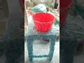 Cái ca nước màu đỏ hóa kẹo