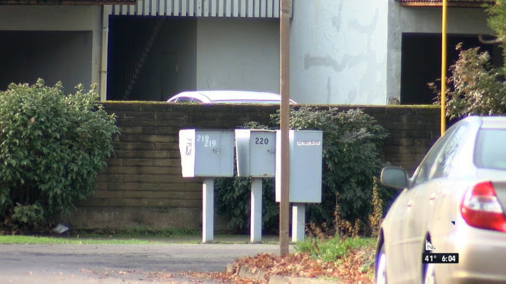 Family shocked to find porch pirate released
