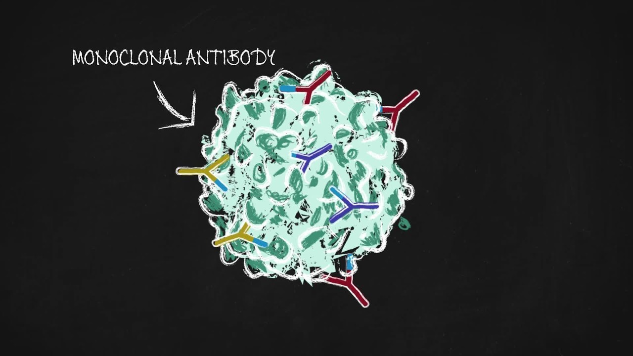 IO-Combination Chalk Talk Video thumbnail