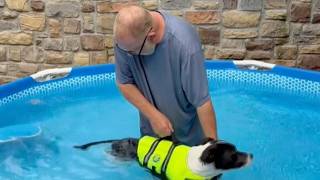 Leigh s Lost and Found Digital Extra Ozarks man goes above and beyond to help paralyzed dog