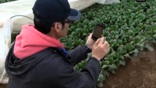 Advanced technology to revive Japan's farming sector