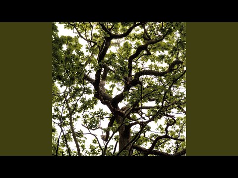 The Declining Winter — North Brewery Recorder