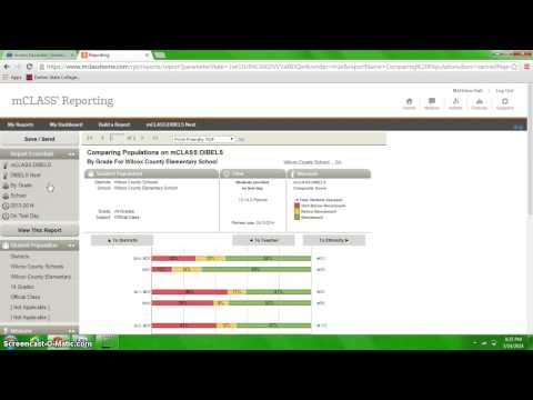 Accessing your DIBELS composite scores