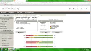 Accessing your DIBELS composite scores