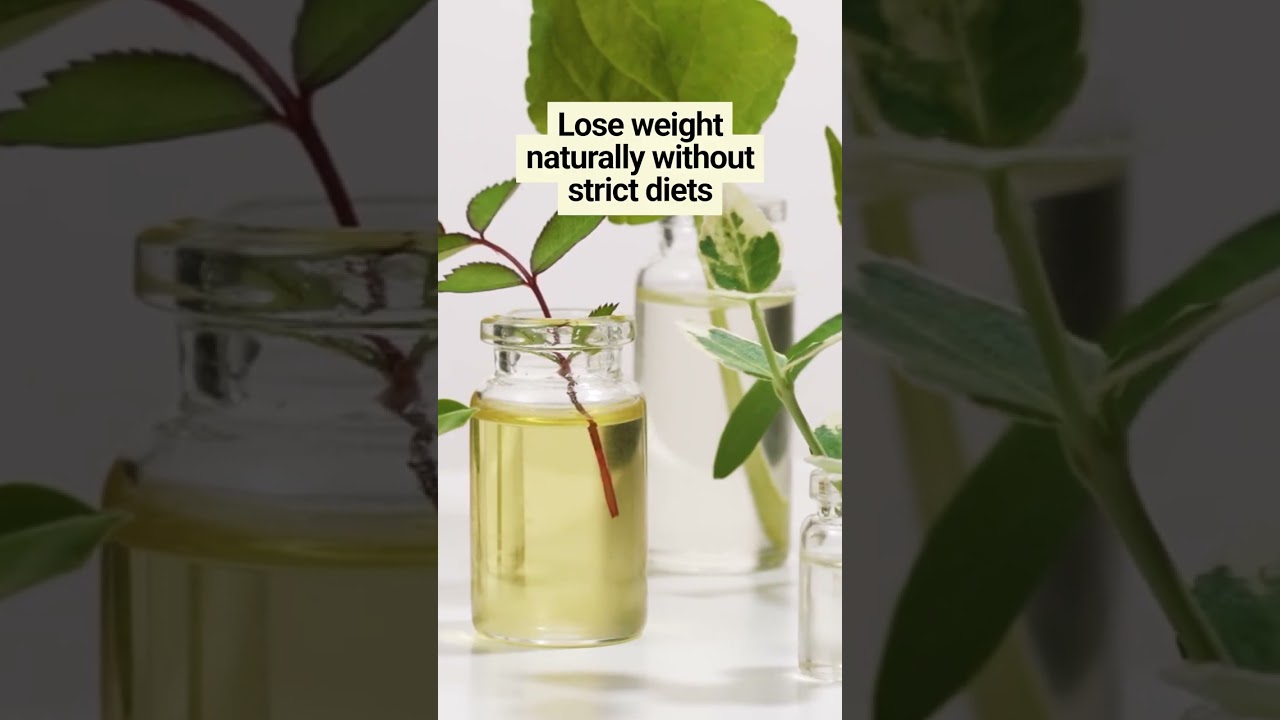 Effective Strategies for Weight Loss