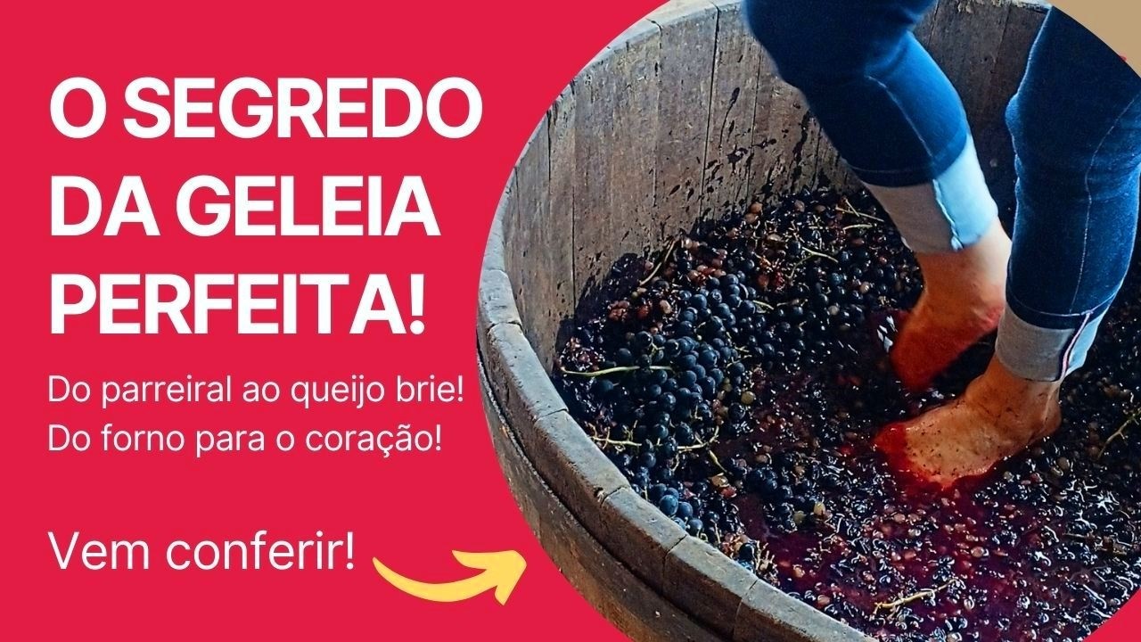 O QUE NINGUÉM TE CONTOU SOBRE A GELEIA DE MERLOT!