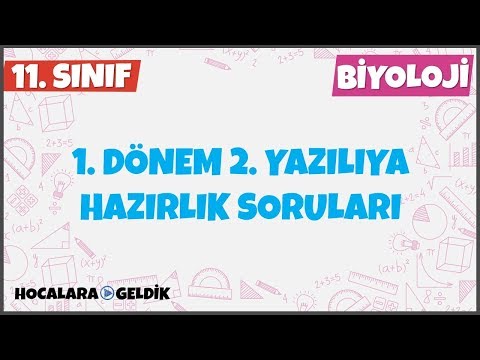 1. Dönem 2. Yazılıya Hazırlık l 11. Sınıf Biyoloji