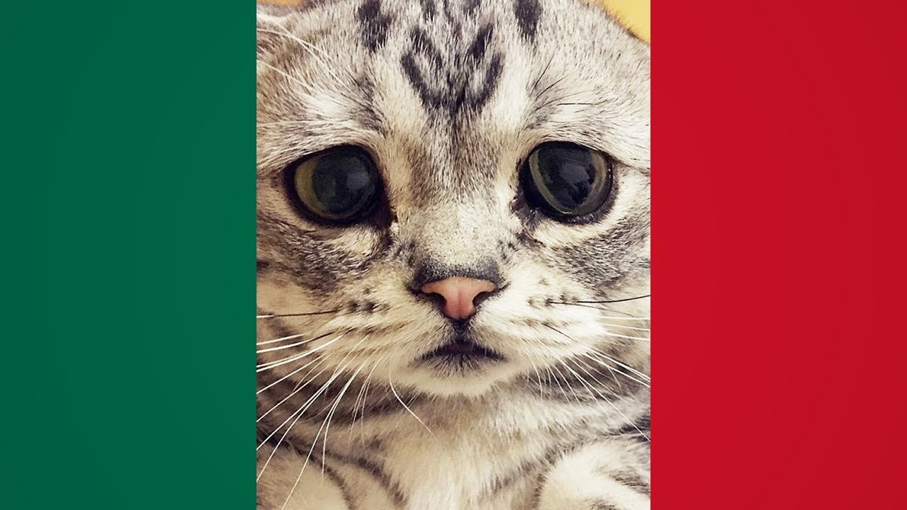 deduction meaning MEMES MEXICANOS 9