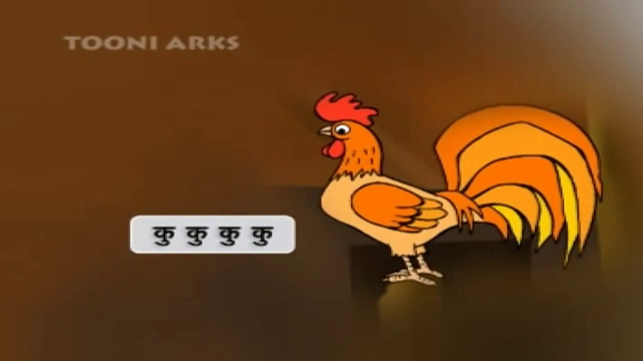 kukdu ku ku ku ku