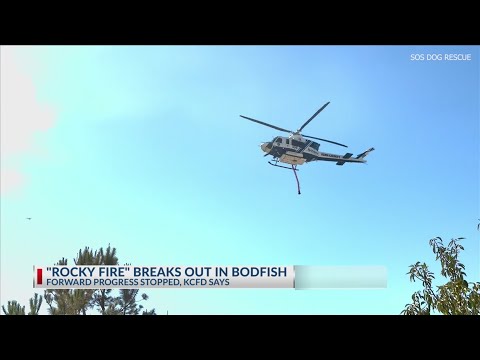 Firefighters quickly stop forward progress of brushfire in Bodfish