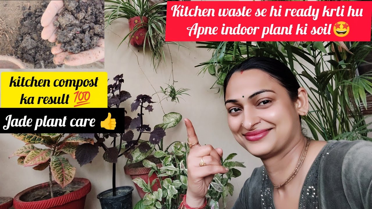 Уход за нефритовым растением 👍 / Результат использования кухонного компоста 💯 / Готовая почва для...