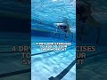 4 Dryland Exercises You Should Add to Your Swim Workout