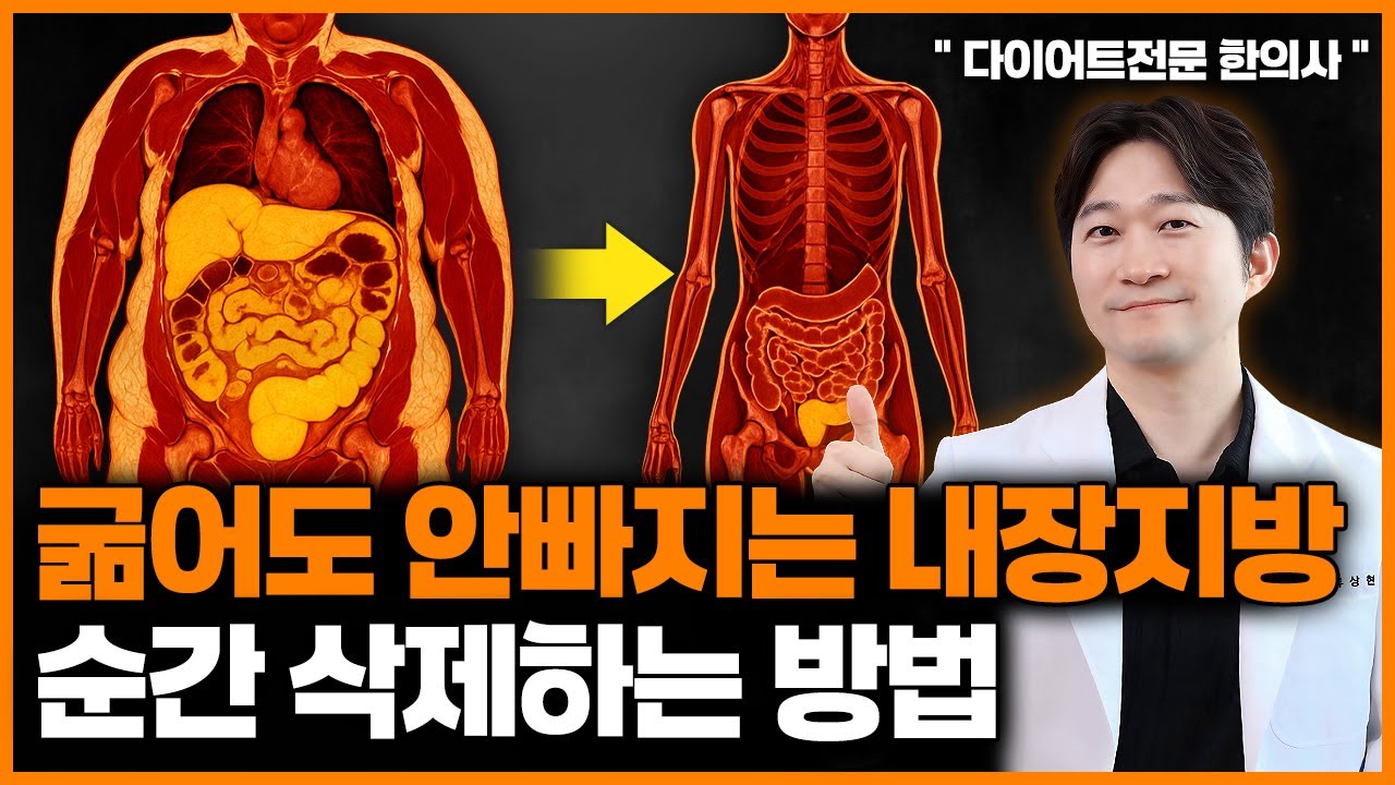 운동 없이 기초대사량 올리는 가장 합리적인 방법 3개월 -10kg 가능합니다 ㅣ 살이 안 찌는 몸으로 만드는 방법