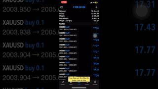 Forex Intraday Live Trading Forex Trading Running Live Profit Trade #forex #forextrading