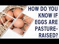 Ask Dr. Gundry: How do you know if eggs are pasture-raised?