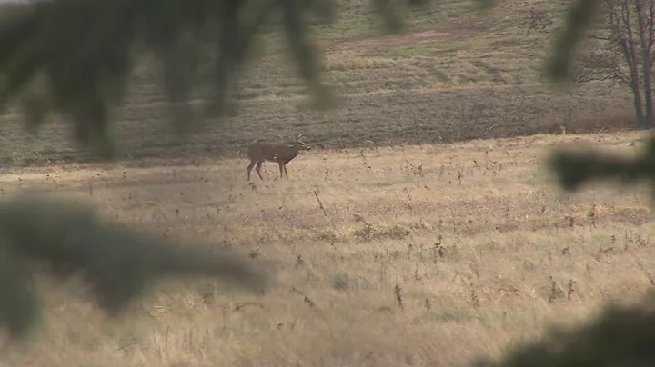 DNR urges caution to deer hunters as COVID-19 cases surge in Wisconsin