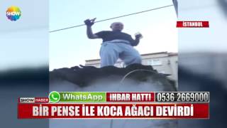 Bir pense ile koca ağacı devirdi