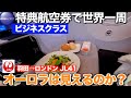 【ワンワールド特典航空券世界一周の旅】オーロラは見えたのか？　JAL41便　羽田→ロンドン　人生初！ビジネスクラスで至れり尽せりのフライト【アラ還オヤジの大冒険一人旅】