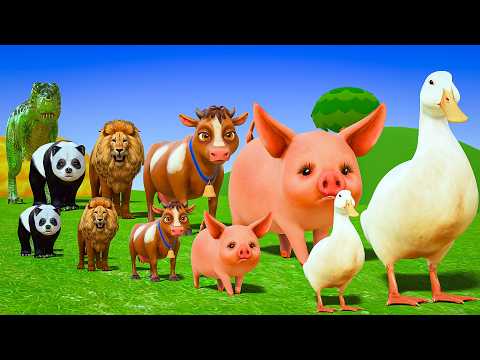 Long Slide Game with Colourful Duck Cow Tiger Gorilla Dog Elephant 3d Animal Game Funny 3d Animals