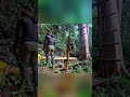 Tree house Making Process | Real Survival #shorts #sciencefacts