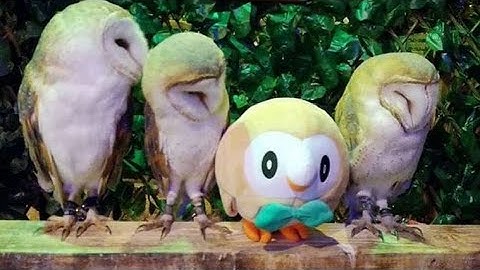 Multisource - Sparta Wraith CWE V4 Remix