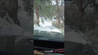 VID 20240317 WA0020